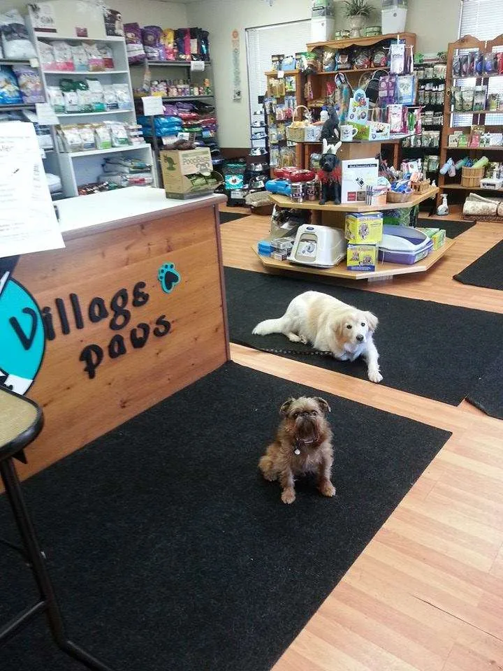 The shop: Village Paws logo counter, shelves of pet food and two dogs waiting